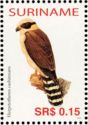 Laughing Falcon (Herpetotheres cachinnans)